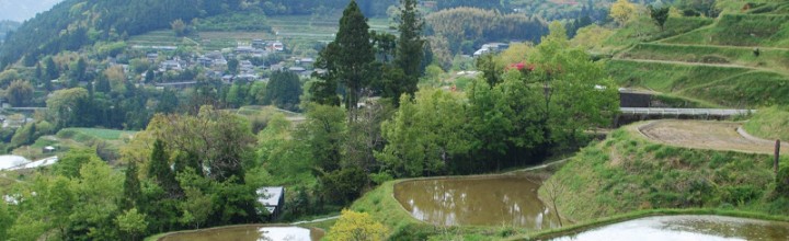 【全国大会日本一!】高知県本山町の天空の棚田米 Motoyama, terraced rice fields 【全国大会日本一!】高知県本山町の天空の棚田米 Motoyama, terraced rice fields