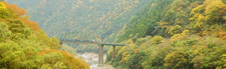 紅葉、山深く。祖谷の山間集落へ The autumn color of leaves at Iya 紅葉、山深く。祖谷の山間集落へ The autumn color of leaves at Iya
