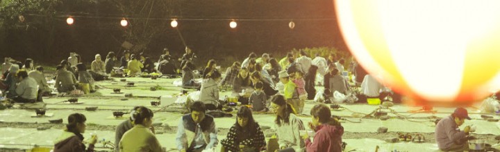 愛媛の中秋の風物詩「いもたき」 “Imotaki” (taros cooking festival), the autumn features of Ehime pref. 愛媛の中秋の風物詩「いもたき」 “Imotaki” (taros cooking festival), the autumn features of Ehime pref.