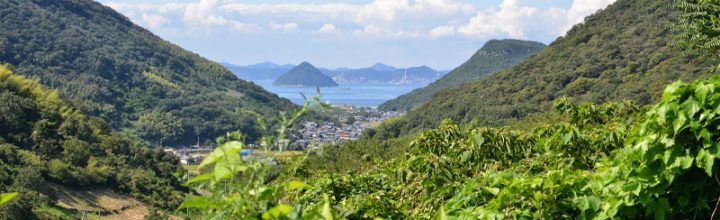 【まるで王家の谷】五色台からみた王越(おうごし)と瀬戸内海の眺め 【まるで王家の谷】五色台からみた王越(おうごし)と瀬戸内海の眺め
