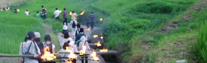 虫送り、江戸時代から小豆島に伝わる行事 The torch procession at Shodoshima island 虫送り、江戸時代から小豆島に伝わる行事 The torch procession at Shodoshima island