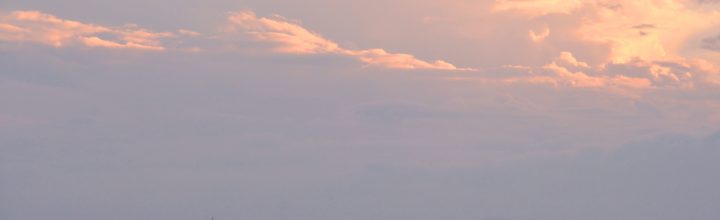 徳島の活鱧(いきはも) 徳島の活鱧(いきはも)