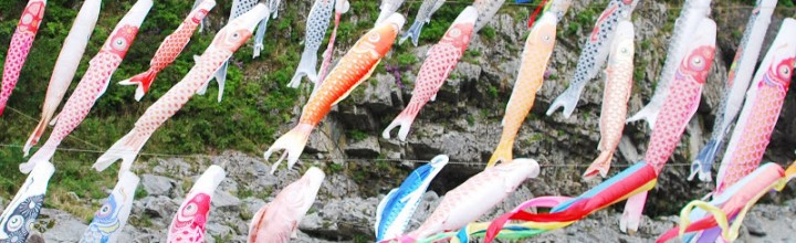 【3月下旬~5月末迄】鯉のぼり 秘境大歩危峡を泳ぐ The carp streamers of Iya valley 【3月下旬~5月末迄】鯉のぼり 秘境大歩危峡を泳ぐ The carp streamers of Iya valley