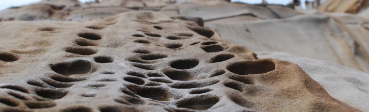 8000年の波の化石。高知県・竜串海岸 Tatsukushi Coast 8000年の波の化石。高知県・竜串海岸 Tatsukushi Coast