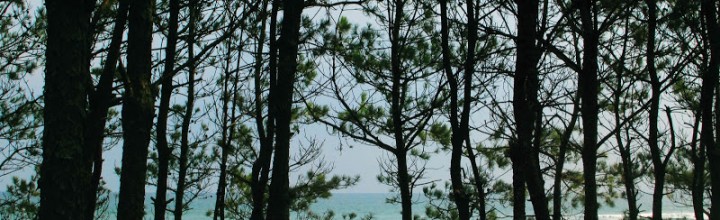 高知県の建物のない美術館「砂浜美術館」 – Sunahama (Sandy beach) museum, Kochi pref. 高知県の建物のない美術館「砂浜美術館」 – Sunahama (Sandy beach) museum, Kochi pref.