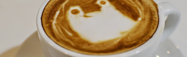 高松空港で楽しめるラテアート Café Buono 高松空港で楽しめるラテアート Café Buono