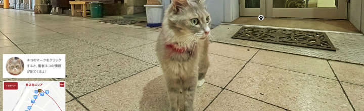 世界初!猫目線のストリートビューが広島・尾道で開始! 世界初!猫目線のストリートビューが広島・尾道で開始!