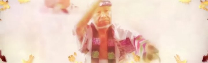 海外向けの阿波おどりPR映像がかっこいい Movie for introducing Awa Dance 海外向けの阿波おどりPR映像がかっこいい Movie for introducing Awa Dance