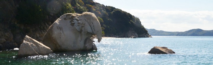 六口島の国指定天然記念物「象岩」 Elephant rock at Muguchi-jima island 六口島の国指定天然記念物「象岩」 Elephant rock at Muguchi-jima island