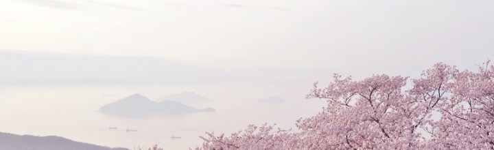 紫雲出山から見る瀬戸内海の島々と桜 The view to Islands of Seto Inland Dea from Mt. Shiude 紫雲出山から見る瀬戸内海の島々と桜 The view to Islands of Seto Inland Dea from Mt. Shiude