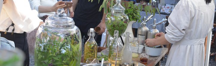 高知で出ったハーブのお店「Equivalent」 高知で出ったハーブのお店「Equivalent」