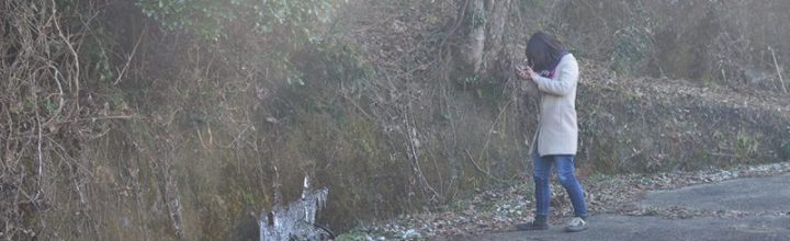 風景に潜むアーティスト 風景に潜むアーティスト
