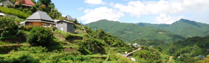 Forbesの選ぶ日本を面白くする「イノベーティブシティ」で徳島県神山町が2位! Forbesの選ぶ日本を面白くする「イノベーティブシティ」で徳島県神山町が2位!