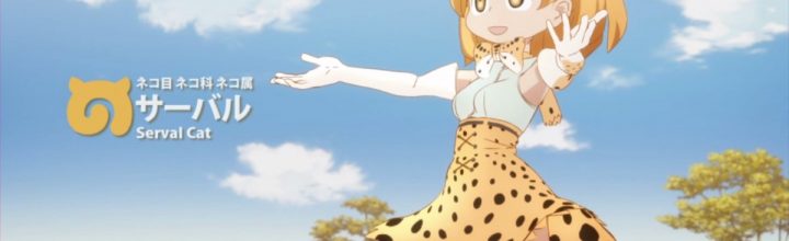 アニメ「けものフレンズ」効果で、とべ動物園のサーバルキャットが人気に アニメ「けものフレンズ」効果で、とべ動物園のサーバルキャットが人気に