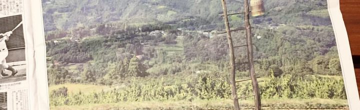 徳島新聞の15段広告に佐那河内村の風景が掲載! 徳島新聞の15段広告に佐那河内村の風景が掲載!
