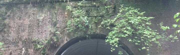 トンネルを抜けるとそこは村でした。 トンネルを抜けるとそこは村でした。