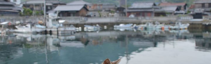 豊かな島、豊島をあるくみるきく 豊かな島、豊島をあるくみるきく