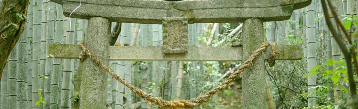 山口県熊毛郡田布施町『後井古墳(ごいこふん)』 山口県熊毛郡田布施町『後井古墳(ごいこふん)』