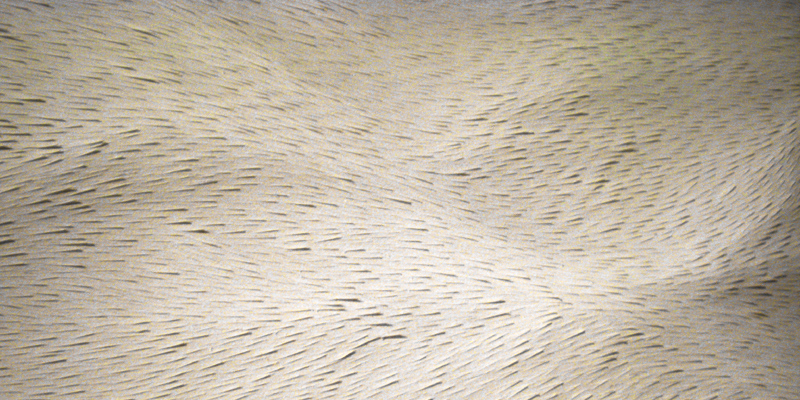 Brink, 2006 - Annie Cattrell