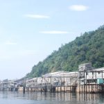 【香川】讃岐うどんに欠かせない伊吹島の『いりこ漁』 – [Kagawa] The Ibuki island is famous for dry sardins.