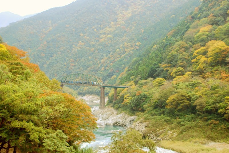 紅葉、山深く。祖谷の山間集落へ　The autumn color of leaves at Iya
