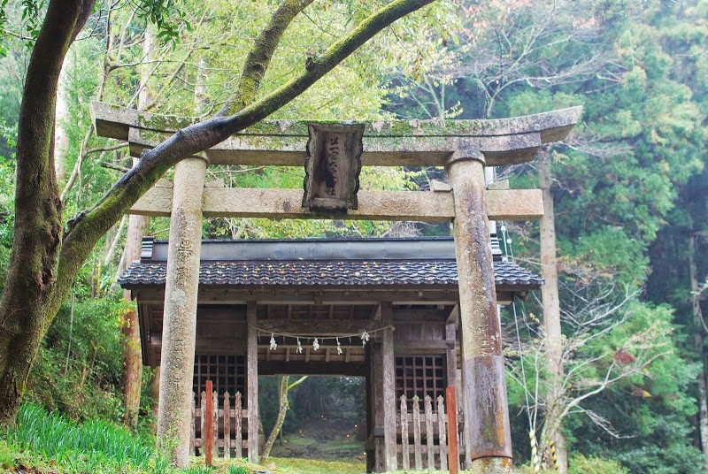 苔生す上一宮大粟神社。徳島県神山 Moss-covered Kami Ichinomiya Ooawa Shrine at Kamiyama