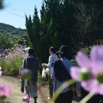 休島日の豊島を歩く – Walking Teshima island
