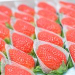 【銀座・資生堂パーラー】「さくらももいちご」徳島県唯一の村だけでつくられている幻のイチゴ – a rare strawberry “Sakuramomo ichigo” of Sanagochi village