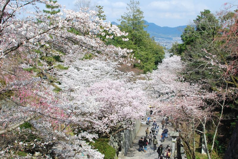 【香川】一生に一度は行きたい『こんぴらさん』長い石段を登ってお参り – [Kagawa] “Kotohiragu shrine (Konpirasan)”