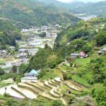 阿波藩のお殿様への献上米。村の棚田米 – Beautiful terraced rice-fields at Sanagochi village