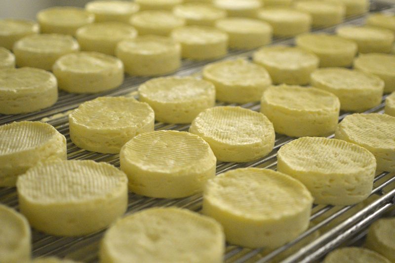 農家がつくるフェルミチーズの工房「醍醐」 愛媛県内子町 Daigo cheese factory