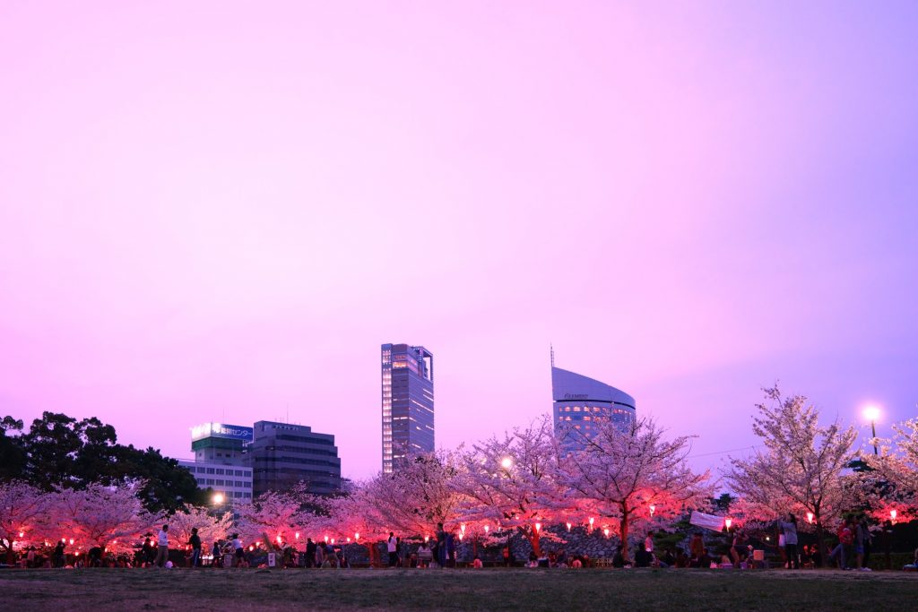 TakamatsuCastle_sakura-