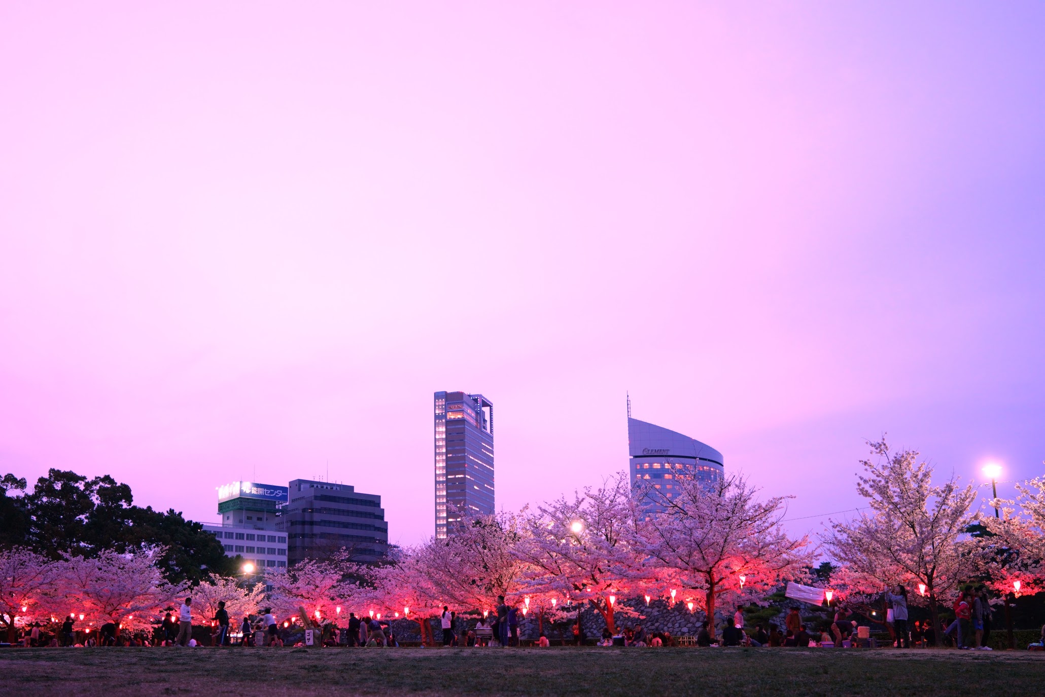 日本三大水城、高松城跡 玉藻公園 – Night cherry blossoms of Takamatsu Castle