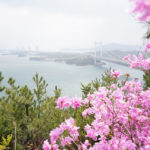 瀬戸内の多島美。鷲羽山（わしゅうざん）からの眺め – The Island Beauty of the Seto Inland Sea from Mt. Washuzan