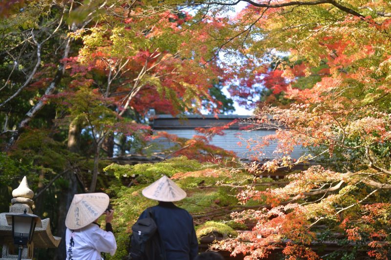 四国遍路の88番目、最後の寺。大窪寺の紅葉 – Beautiful autumn leaves of Ōkuboji temple