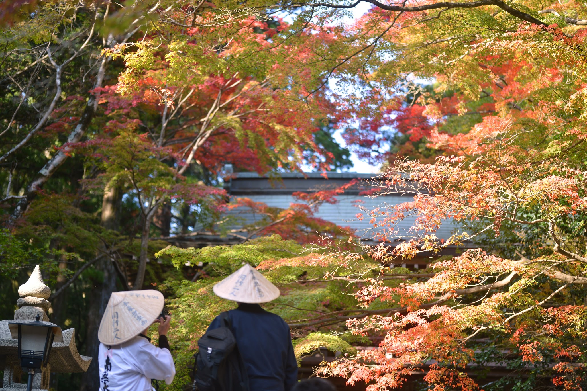 四国遍路の88番目、最後の寺。大窪寺の紅葉 – Beautiful autumn