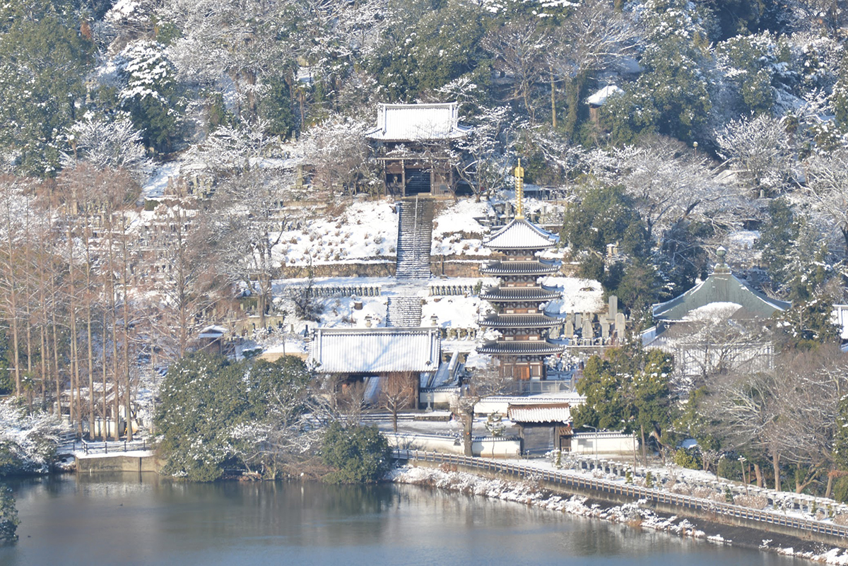 雪の日に山の上から讃岐平野を見渡す – Takamatsu city covered in snow