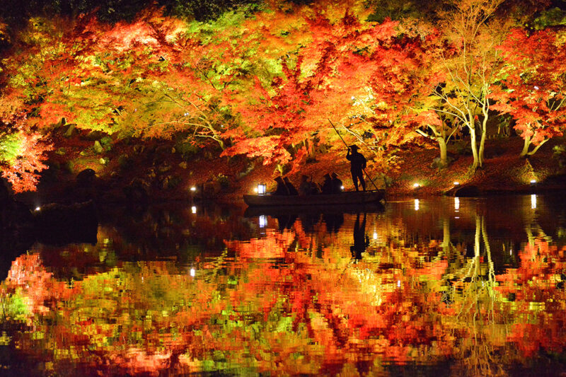 【香川 11/19-28】大名庭園 栗林公園の紅葉ライトアップ – [Kagawa 19-28 Nov] The autumn colors lighting-up at Ritsurin Garden
