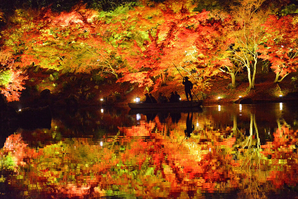 【香川 11/19-28】大名庭園 栗林公園の紅葉ライトアップ - [Kagawa 19-28 Nov] The autumn colors lighting-up at Ritsurin Garden