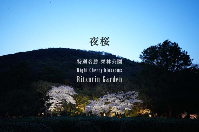 【香川 3/26-4/4】大名庭園 栗林公園、春のライトアップ – [Kagawa March 26th – April 4th] Night Cherry blossoms at Ritsurin Garden