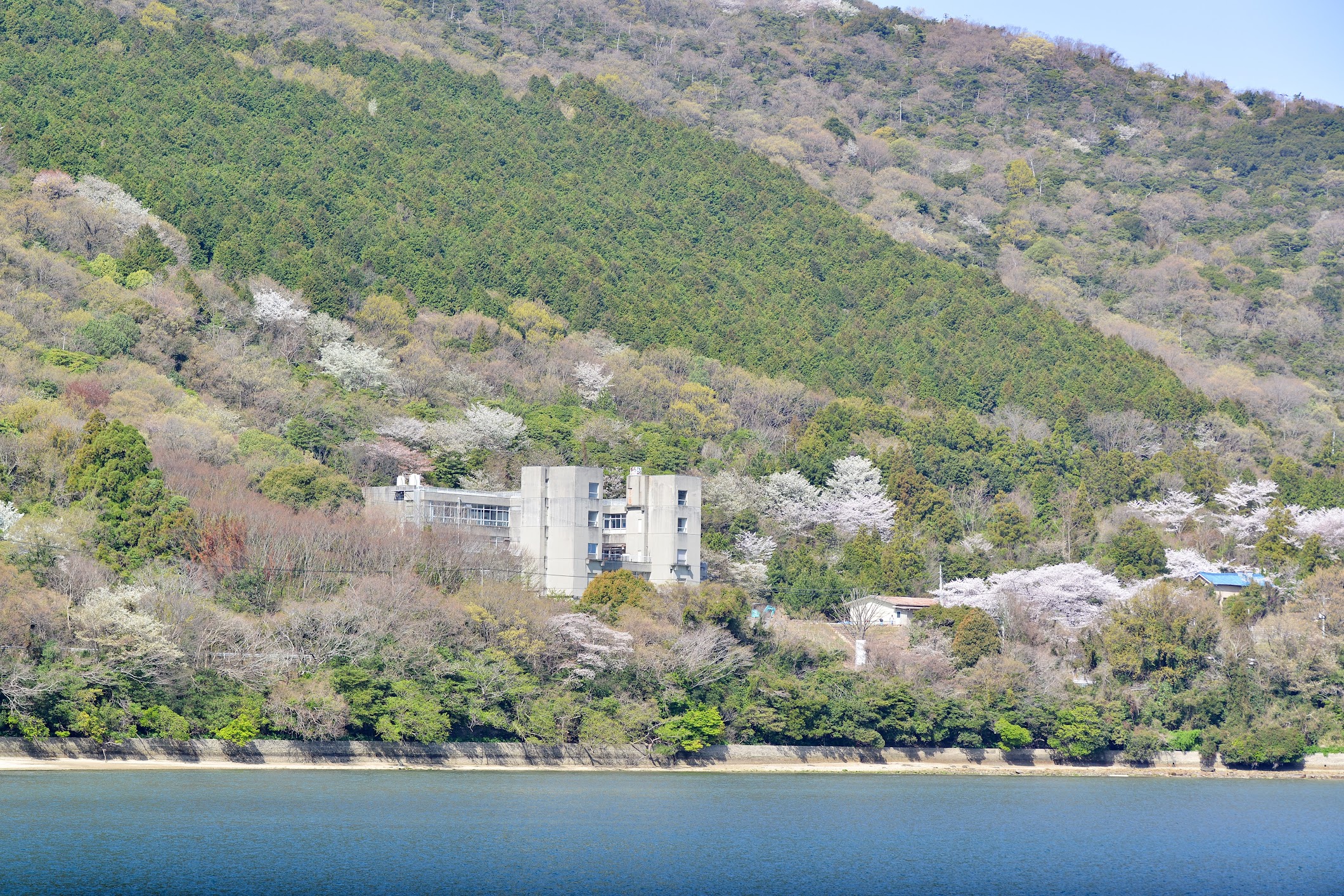 瀬戸内海に開けた美術館 川島猛アートファクトリー Takeshi Kawashima Art Factory 物語を届けるしごと