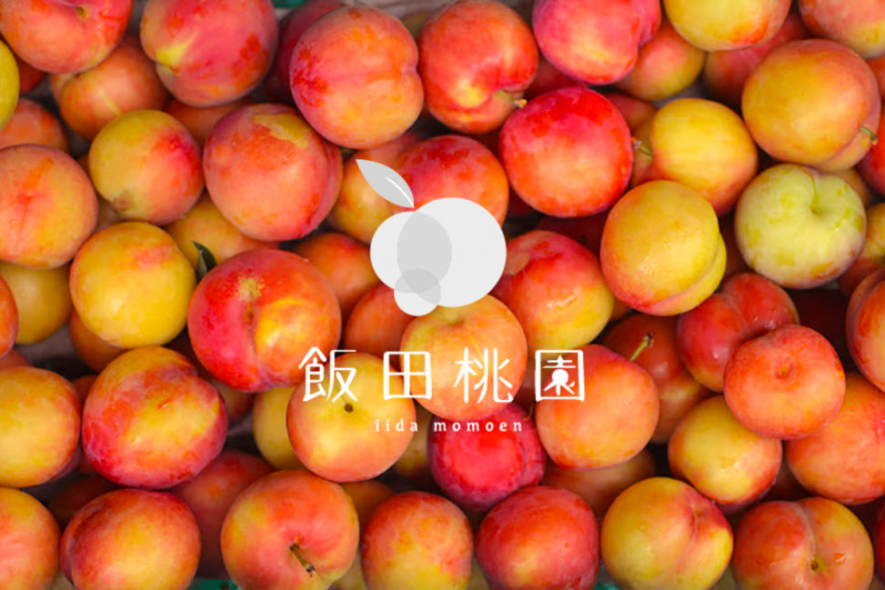 【香川】古くからお遍路さんの喉を潤してきた桃『飯田桃園』 - [Kagawa] Plum and Peach orchard "Īda Peach Farm"