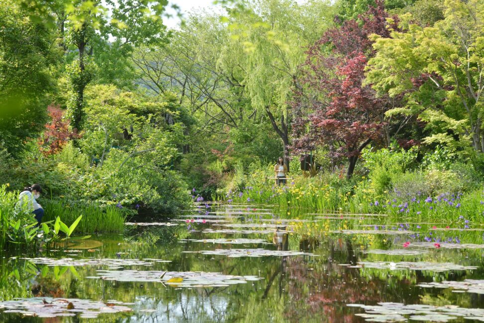 【高知】マルモッタン モネの庭 モネ 高知 北川村 - [Kochi pref.] Monet’s Garden Marmottan in Kitagawa Village