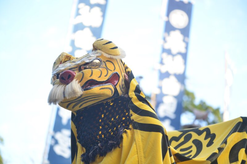 【香川県指定民俗文化財】白鳥神社の虎獅子『虎頭の舞』 – [Kagawa] The Tiger Dance of Shirotori shrine