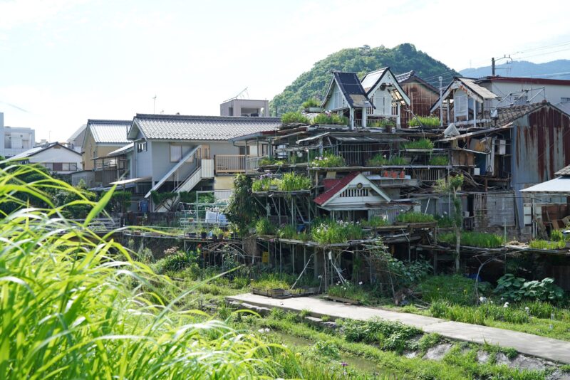 【愛媛】川辺の緑化建築『新谷菖蒲園』 – [Ehime] Riverside greening architecture ‘Shintani Iris Garden’.