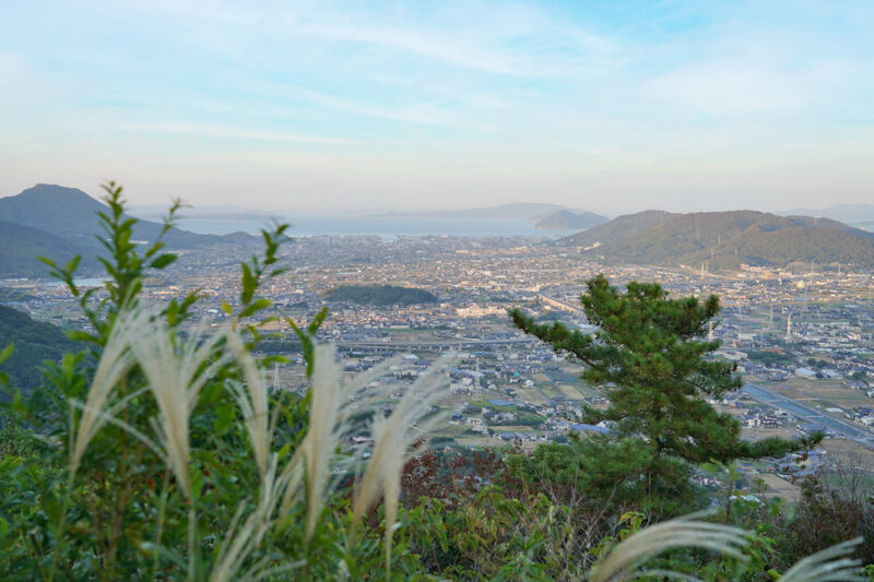 堂山（どうやま）に登る – Mt. Doyama