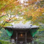 雨月物語 白峰寺 – Shiromineji temple