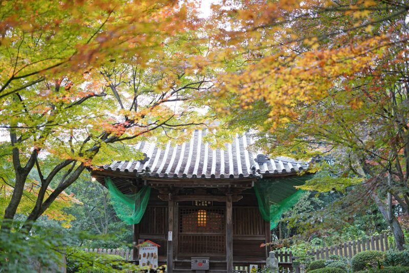 雨月物語 白峰寺 – Shiromineji temple