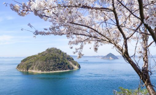 【香川】瀬戸内海、大崎の鼻の桜 - [Kagawa] Cherry Blossoms of Osaki no hana, Setouchi