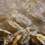 【香川】牡蠣消費日本一は高松市！牡蠣焼き『鹿酔庵（ろくすいあん）』 – [Kagawa] Takamatsu City is Japan’s largest consumer of oysters! Oyster Grill ‘Rokusuian’.